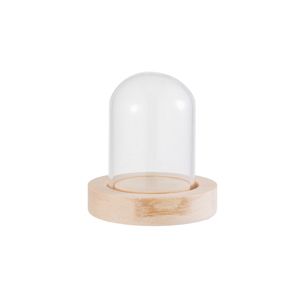 Home Decor Vase - Guirlandes lumineuses Décoration d'intérieur Terrarium Bouteille