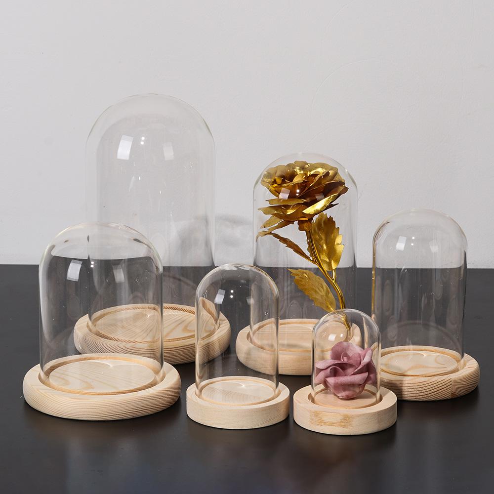 Décoration d'intérieur, plante - Home Decor Vase avis et prix