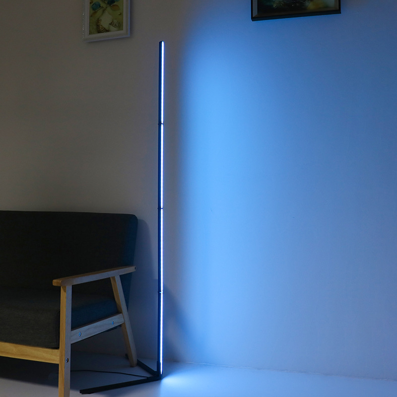 Lampe sur pied LED RGBIC Tuya  - Home Decor App Free avis et prix