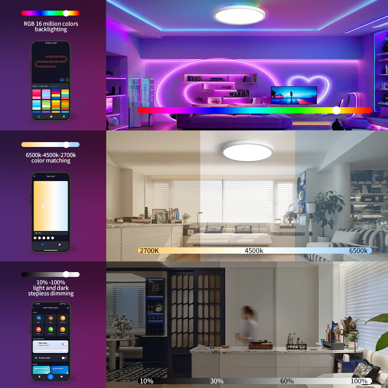 BENEWTON Tuya Smart WiFi plafo - Home Decor App Free avis et prix